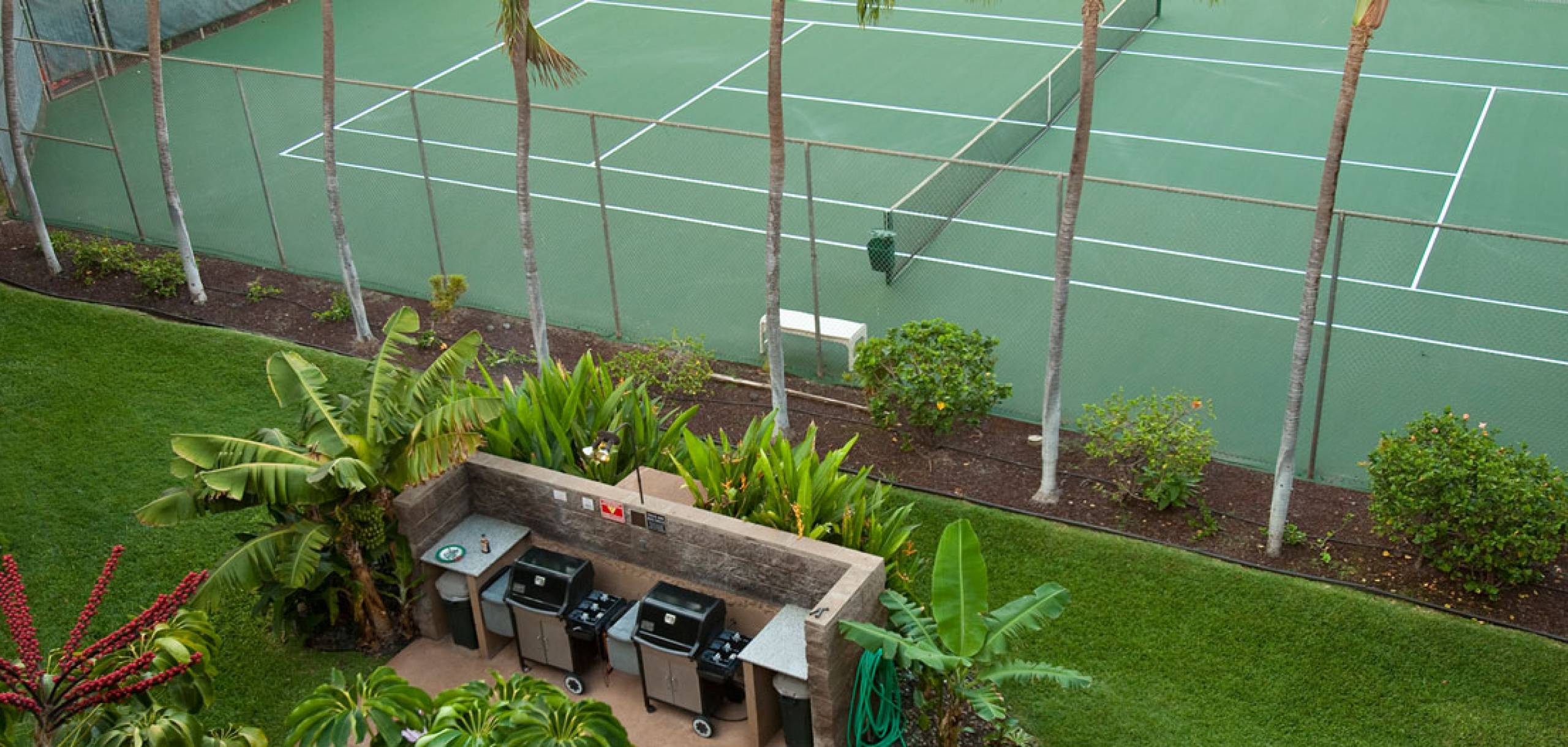 maui vista reviews